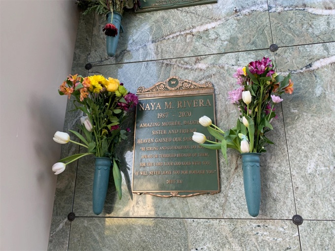 Naya Rivera ảnh 2 Naya Rivera anh 2