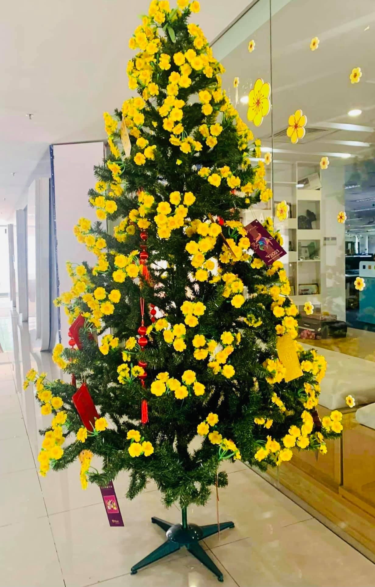 nghe si cung tao quan anh 4