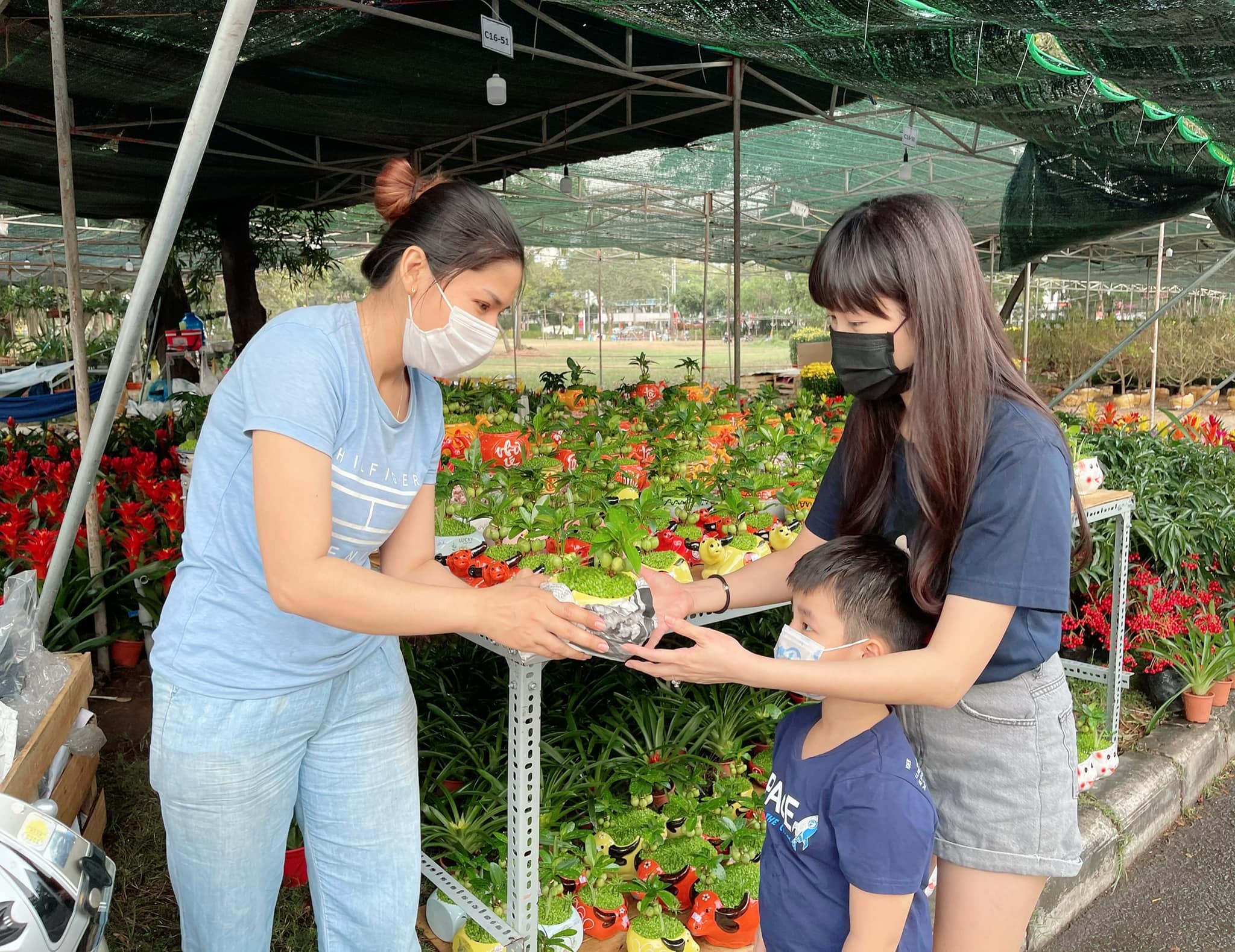 sao viet trang hoang don tet anh 4