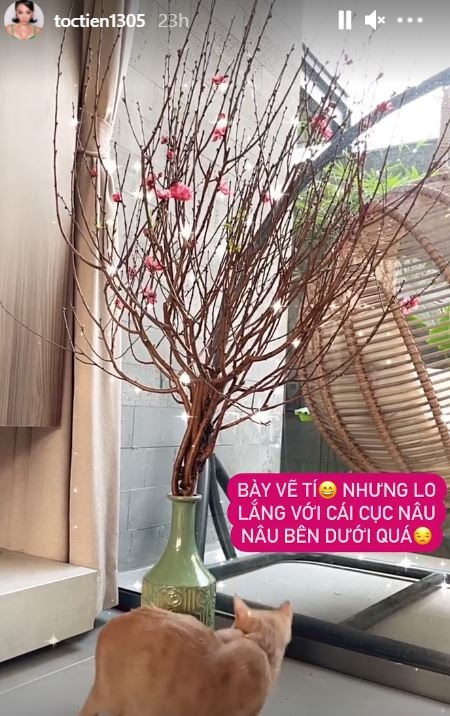 sao viet trang hoang don tet anh 6