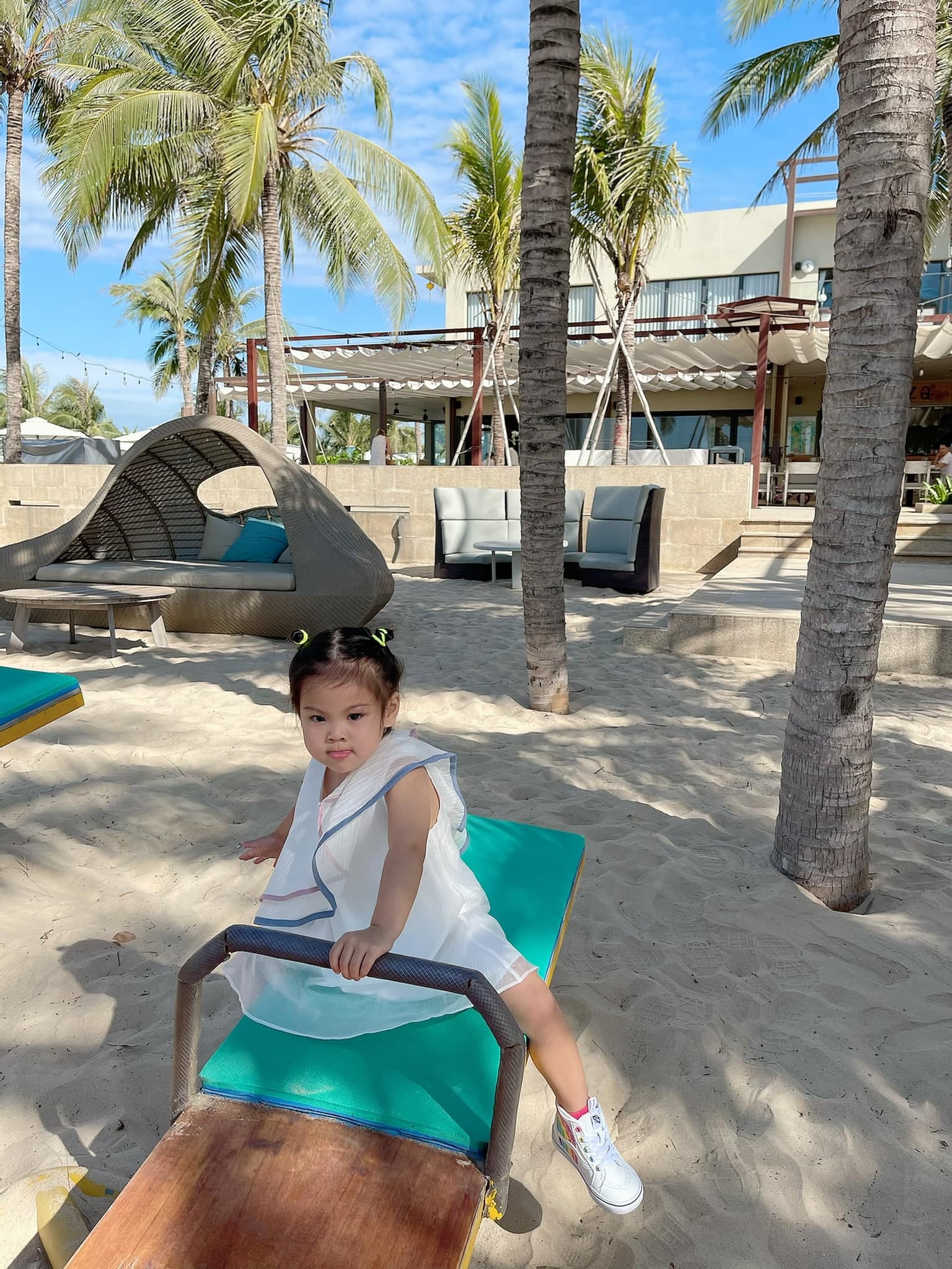 nghe si Viet don Tet anh 6