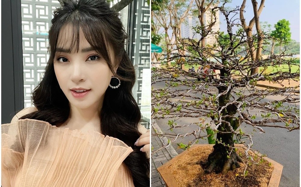 Dien vien Thanh Dat bi trom cay mai gia 50 trieu dong hinh anh