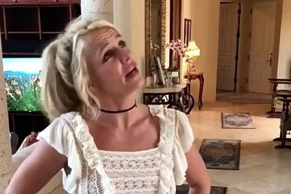 Ben trong biet thu 7,4 trieu USD cua Britney Spears hinh anh