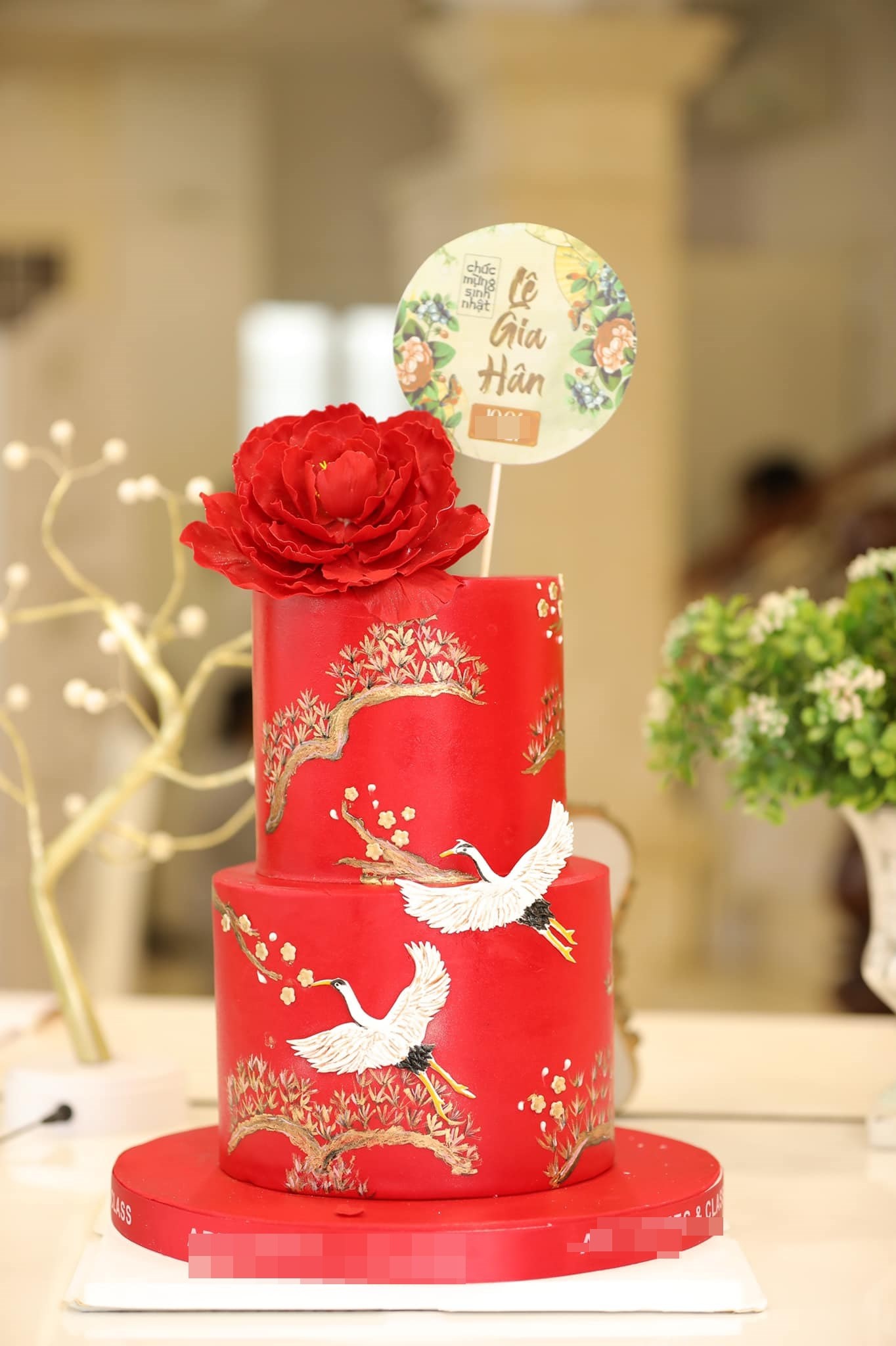 con gái thúy hạnh ảnh 11 con gai thuy hanh anh 11