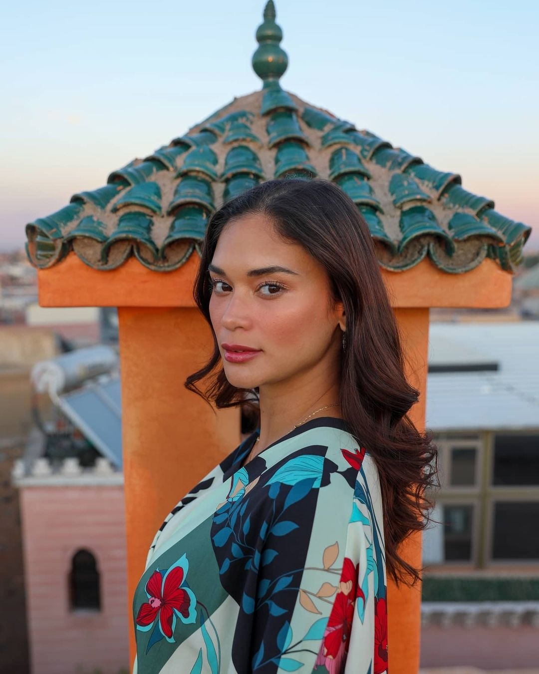 hoa hau Pia Wurtzbach anh 14