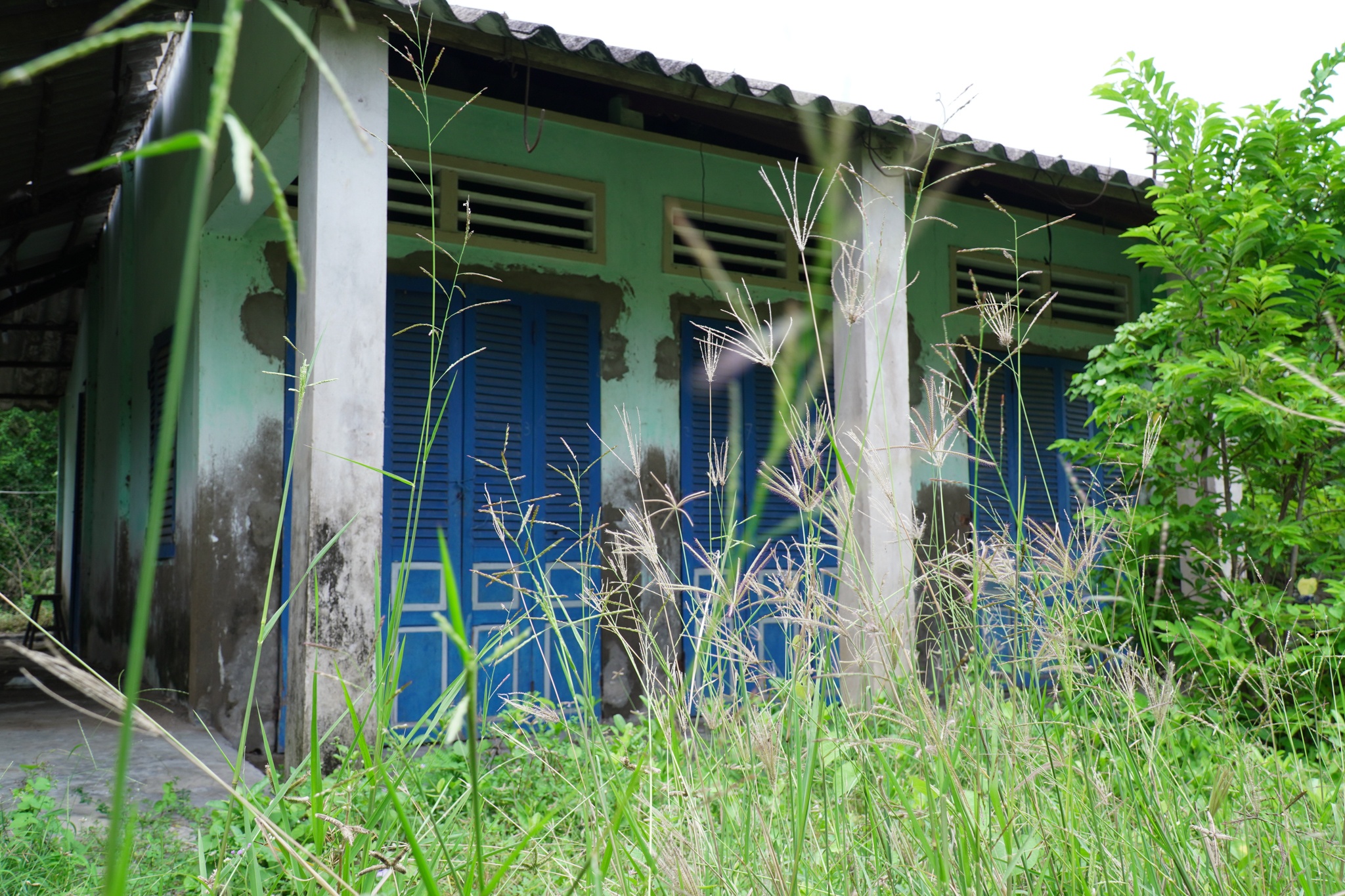 ho van cuong va phi nhung anh 1