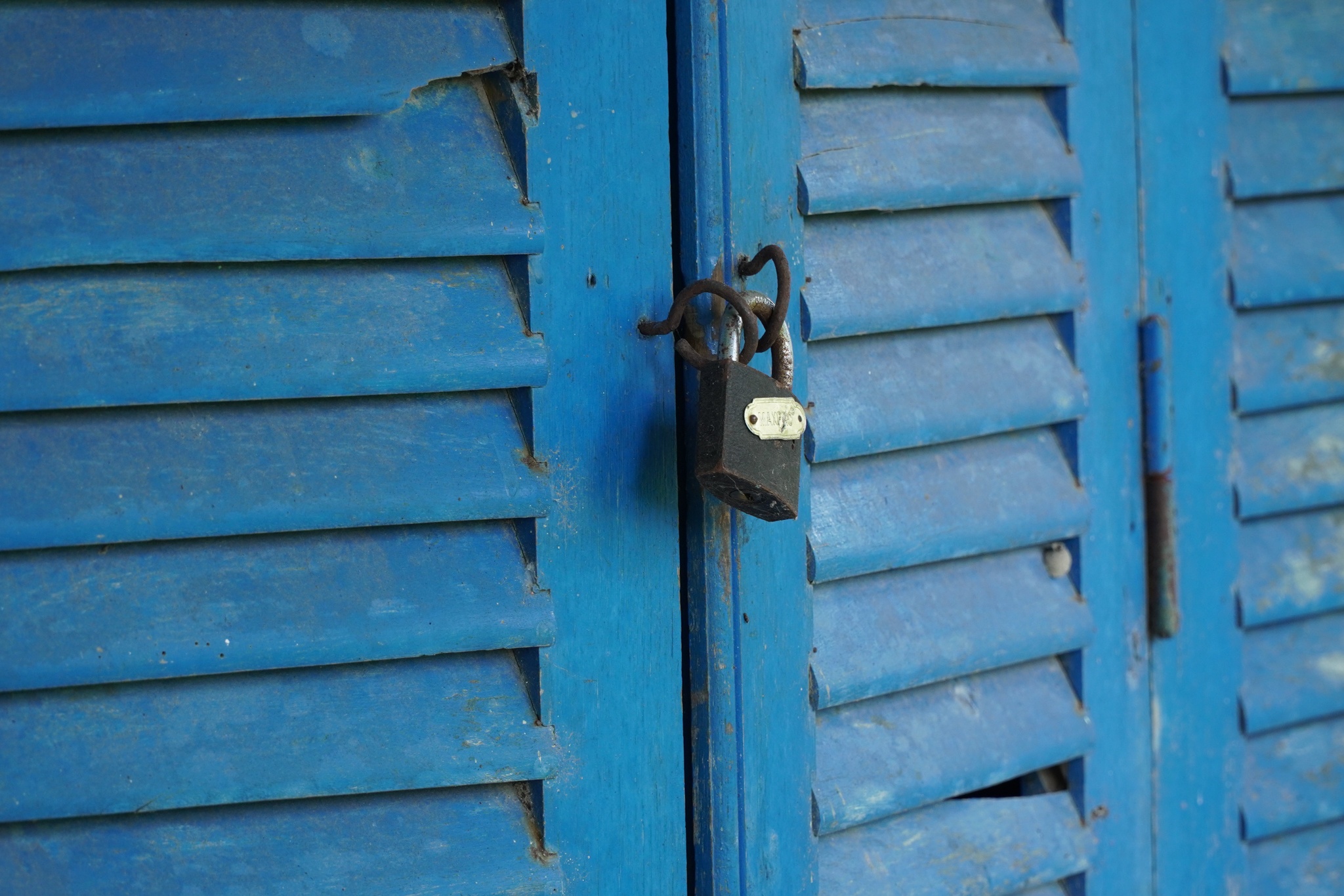 ho van cuong va phi nhung anh 4