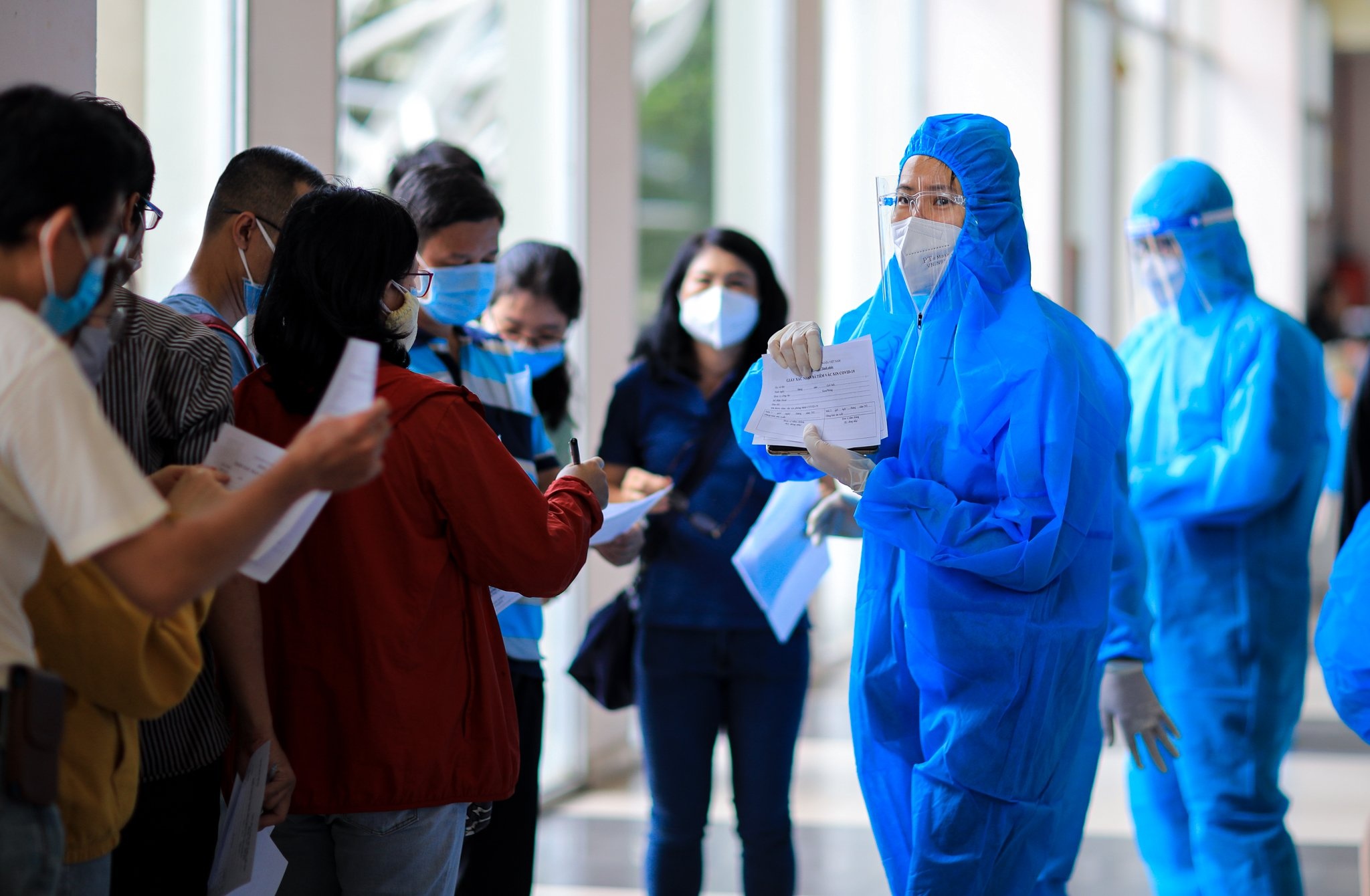 hoa hau hen nie o nha thi dau phu tho anh 8