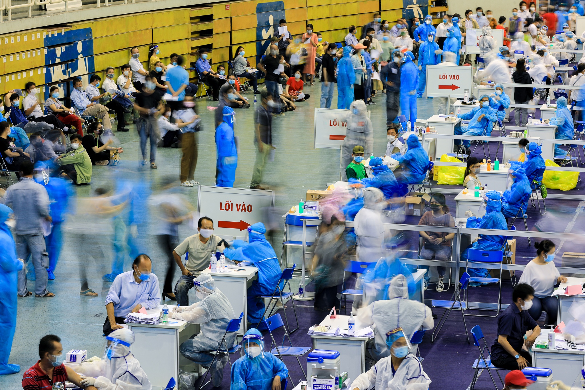 hoa hau hen nie o nha thi dau phu tho anh 1