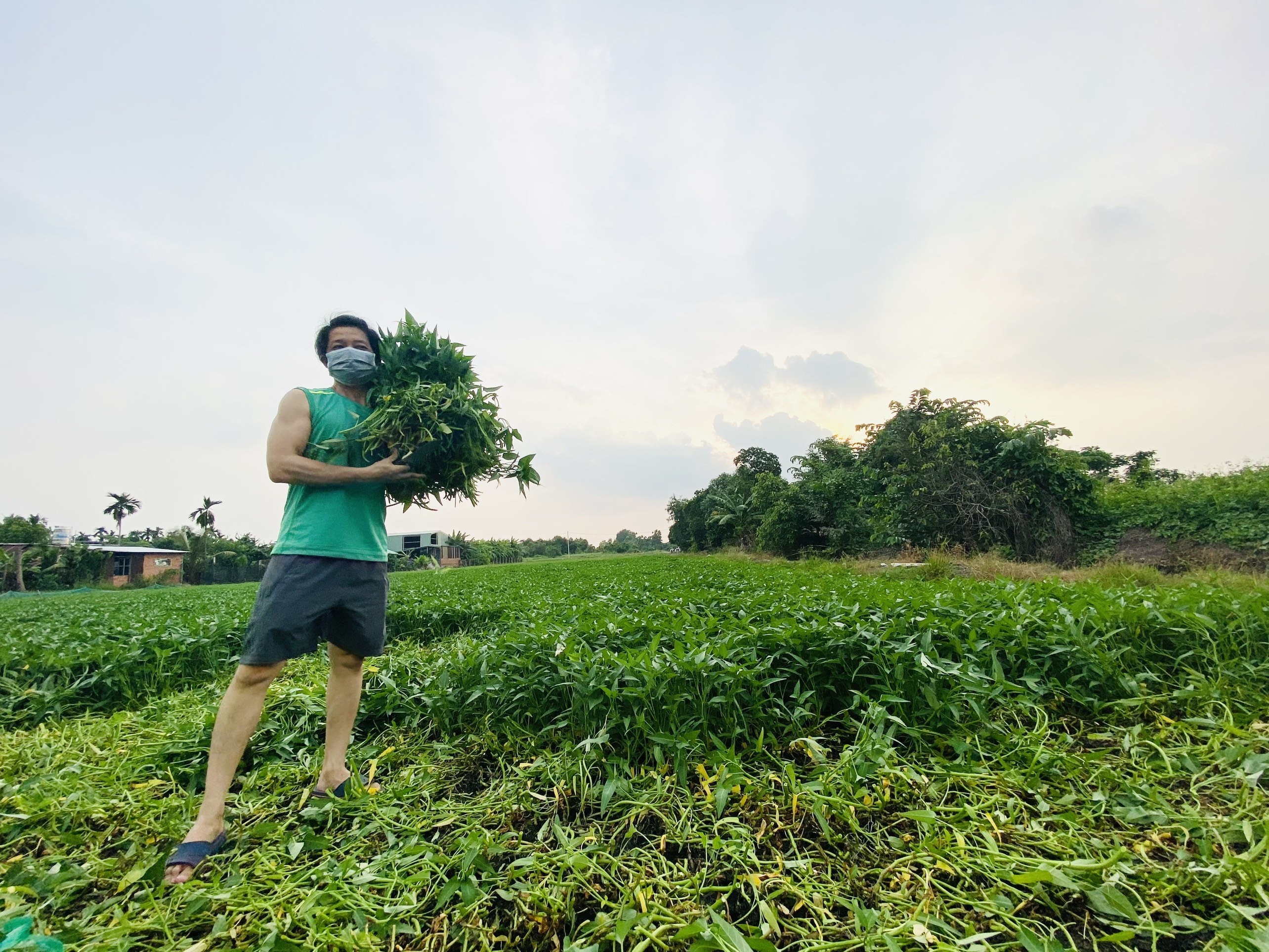 nghệ sĩ Việt tặng rau củ cho bà con nghèo ảnh 2 nghe si Viet tang rau cu cho ba con ngheo anh 2