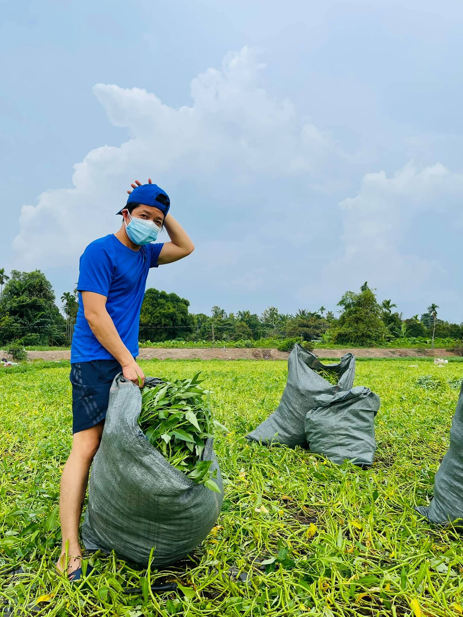 thuan viet gom rau muong anh 3