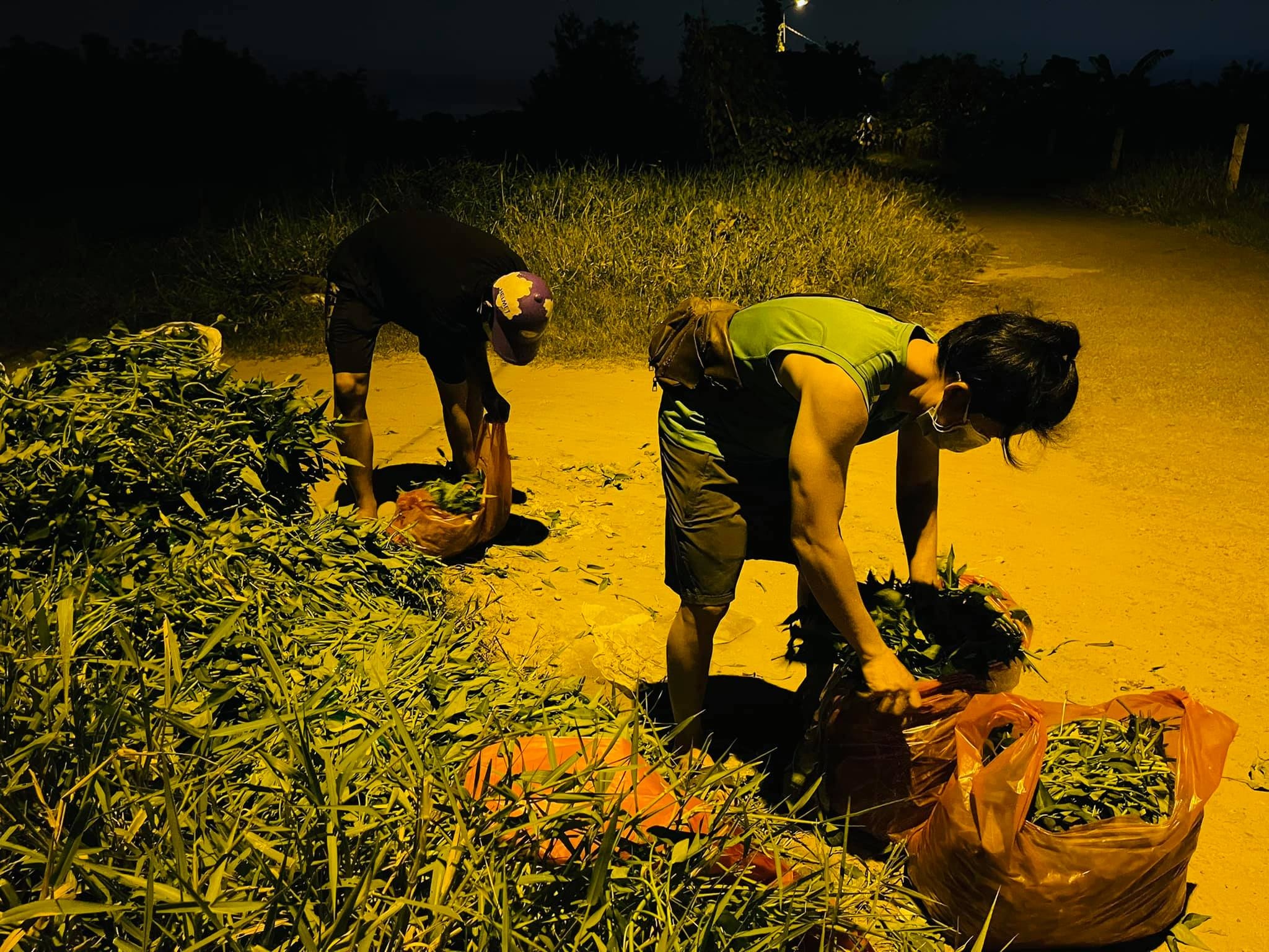 thuan viet gom rau muong anh 6