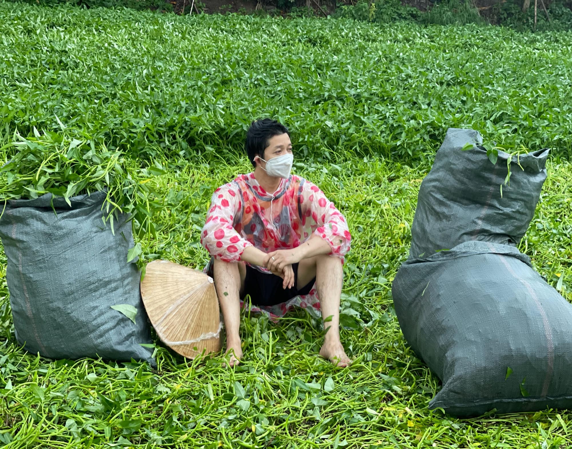 thuan viet gom rau muong anh 4