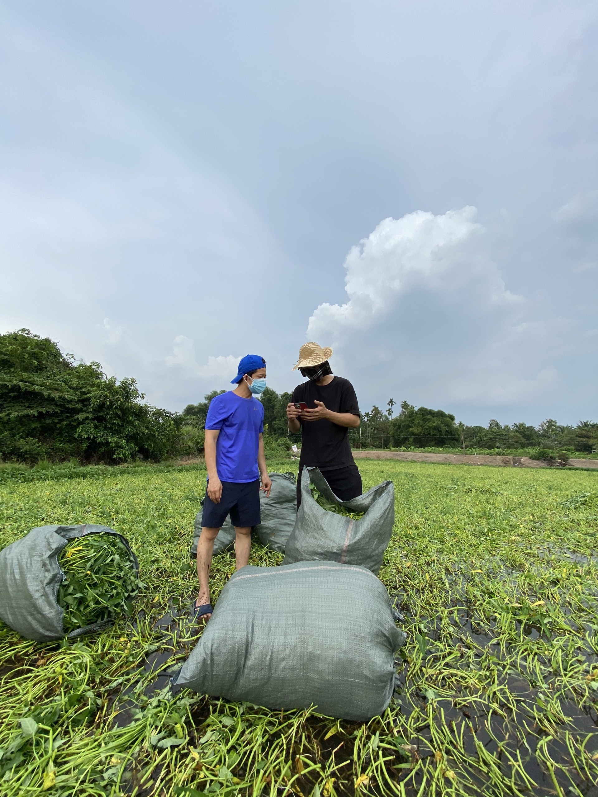 thuan viet gom rau muong anh 9