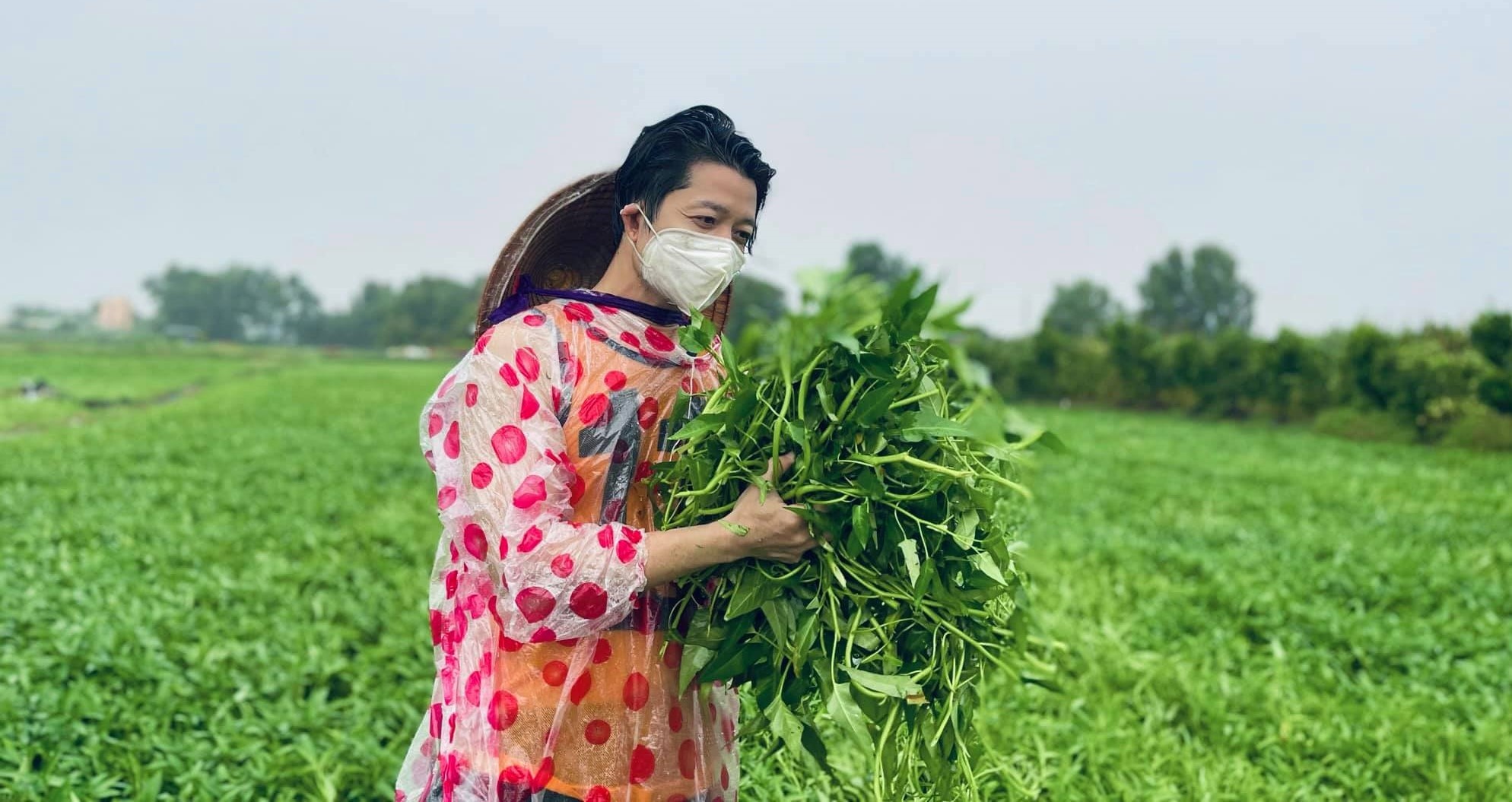 thuan viet gom rau muong anh 1