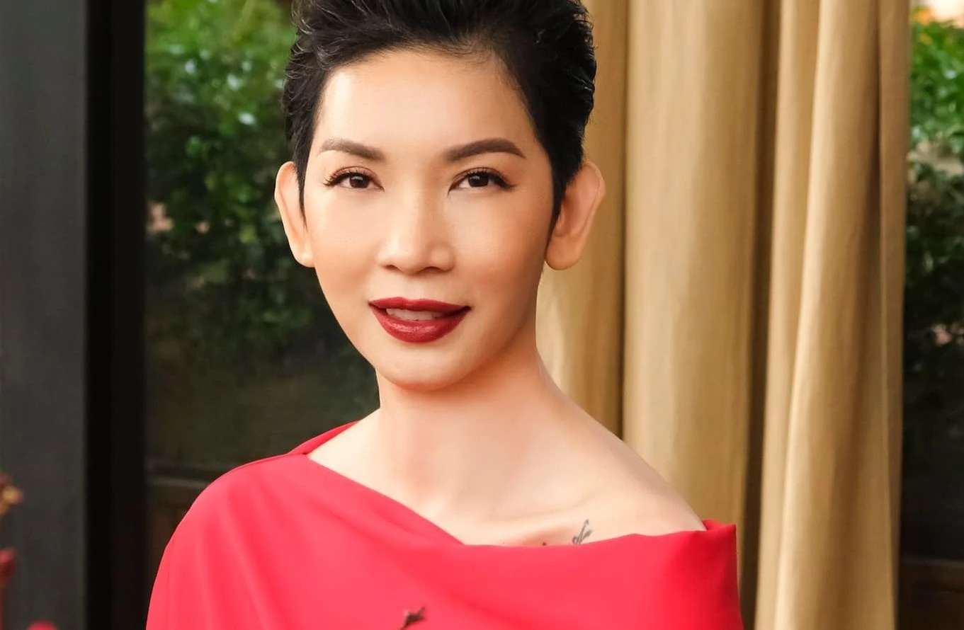 Nghe si Viet phai huy show hinh anh