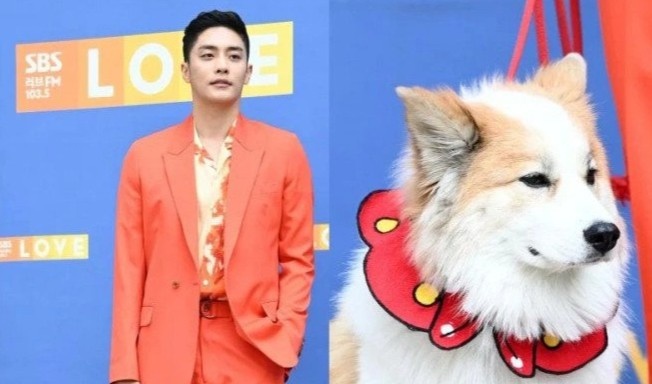 Nam chinh 'Yeu, ket hon, ly di' tro lai hinh anh