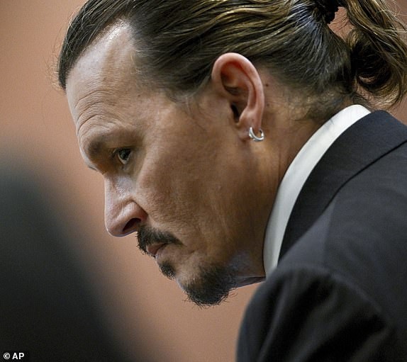 Johnny Depp va Amber Heard anh 2