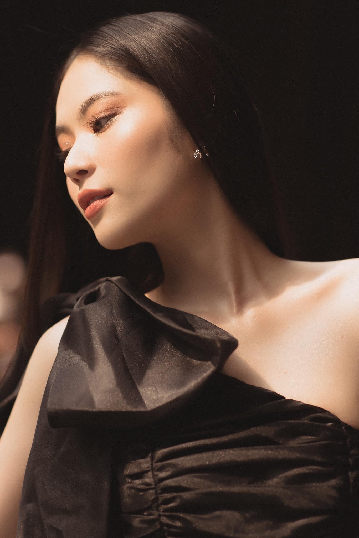 người đẹp Lệ Nam ảnh 8 nguoi dep Le Nam anh 8