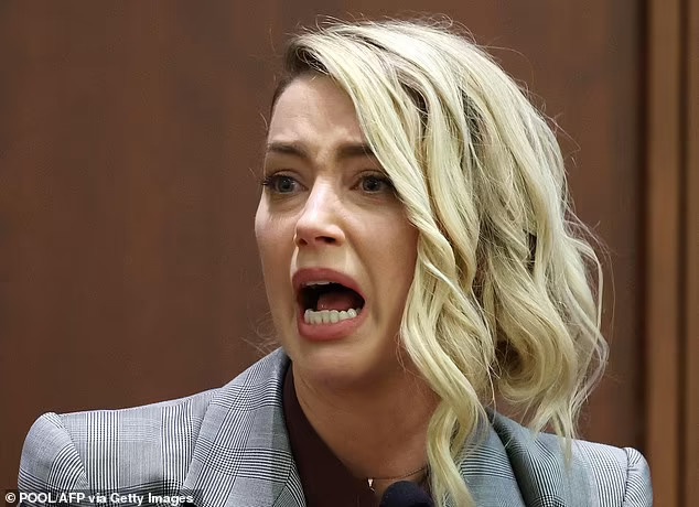 Amber Heard khang cao anh 1