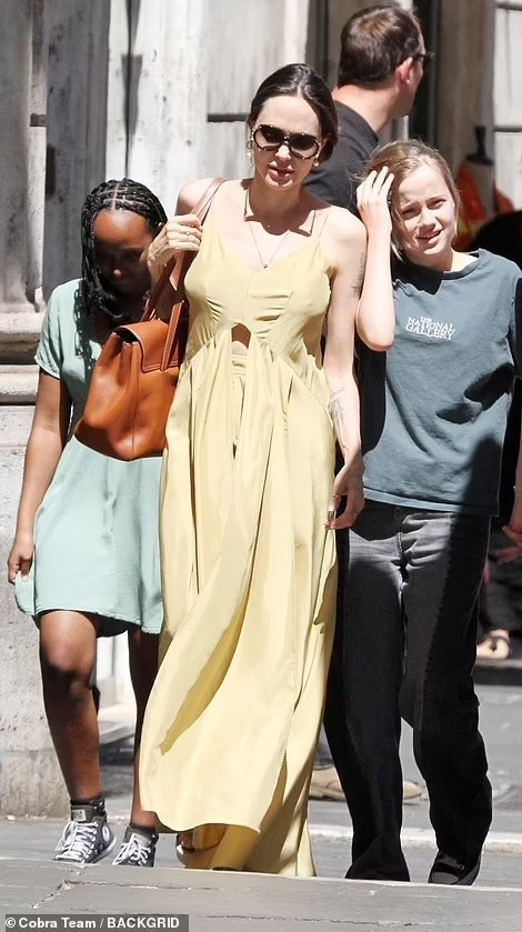 Angelina Jolie va cac con anh 3