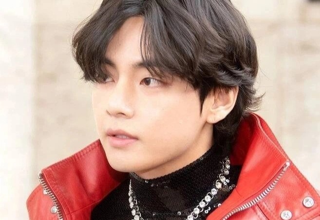 V (BTS) o khach san gia 13.000 USD mot dem o Phap hinh anh