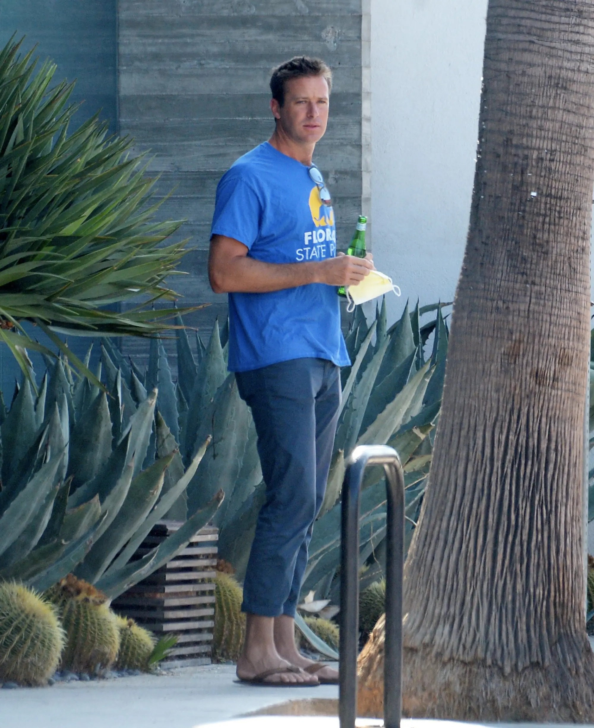 Armie Hammer scandal anh 2