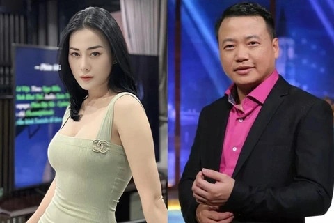 Vo shark Binh lap vi bang cac bai dang tren Facebook cua Phuong Oanh hinh anh