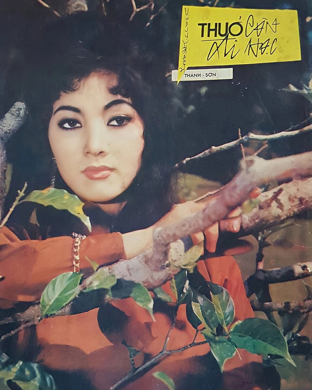 tham thuy hang anh 3