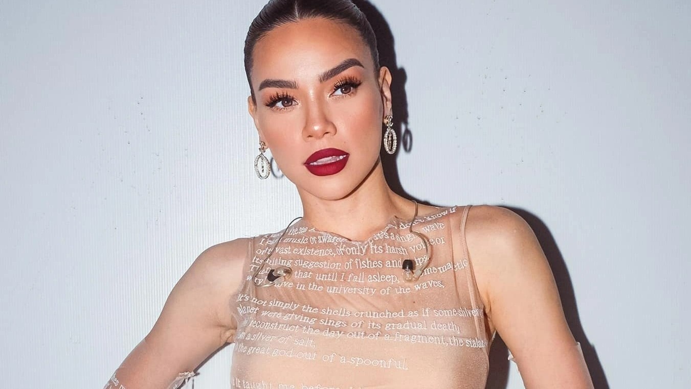 Ho Ngoc Ha noi ve vu mat trom tai san hinh anh