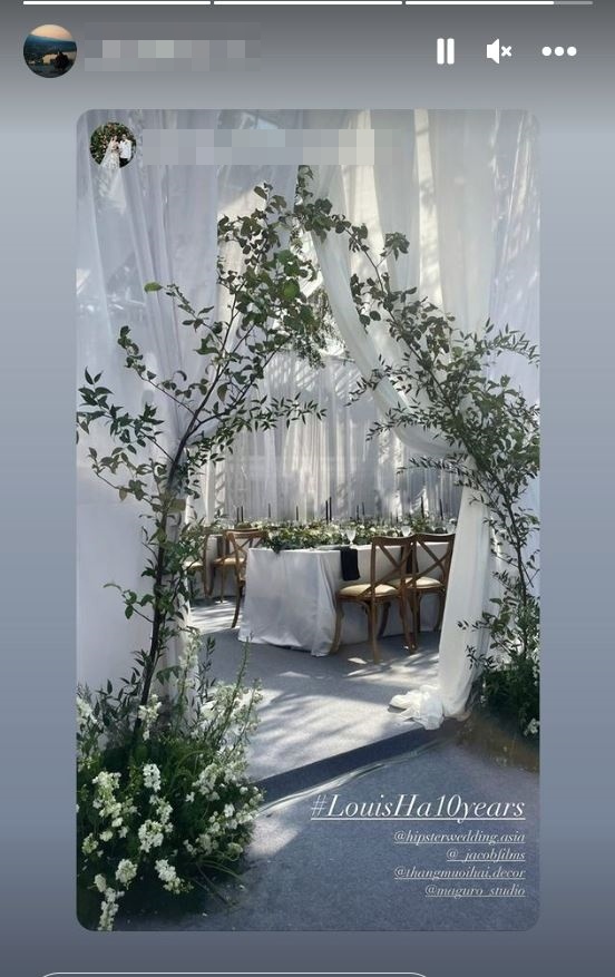 tang thanh ha,  louis nguyen anh 2