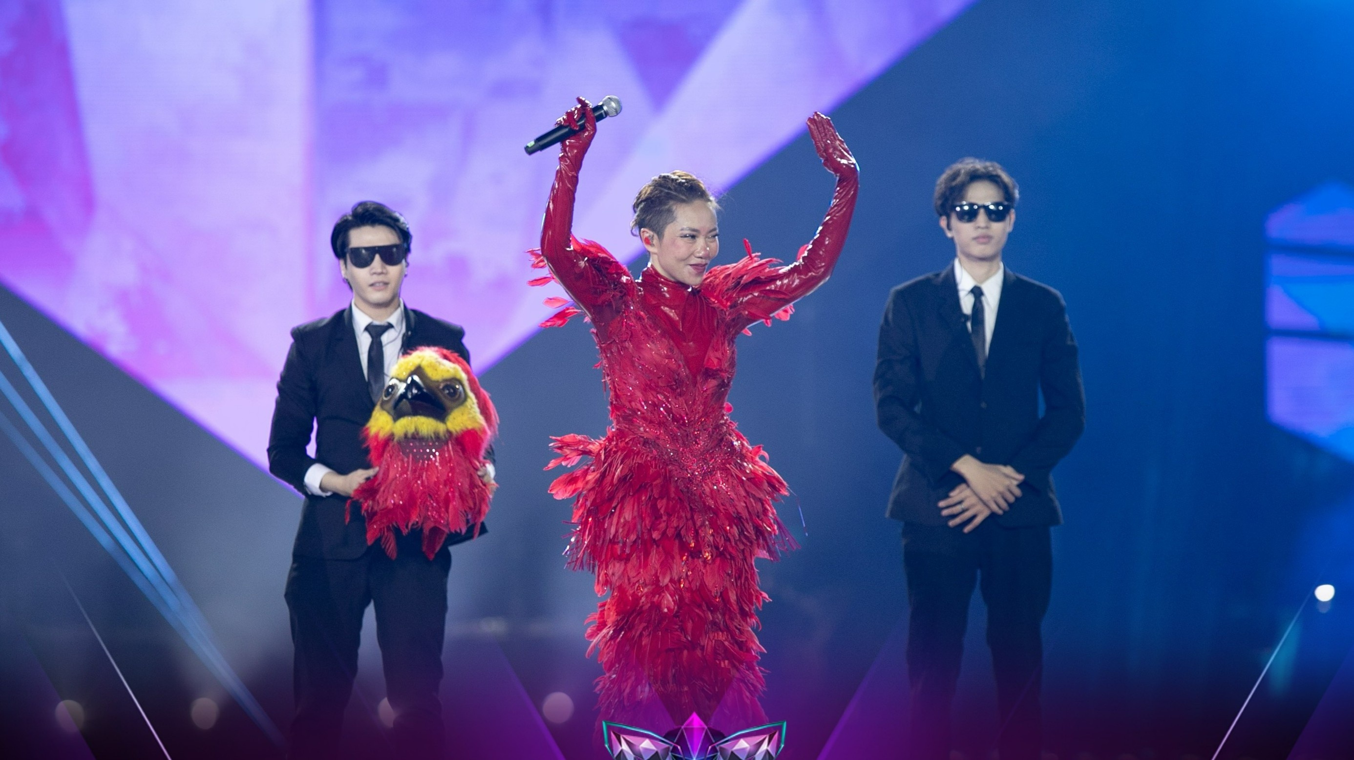 phuong hoang lua,  ha tran anh 1