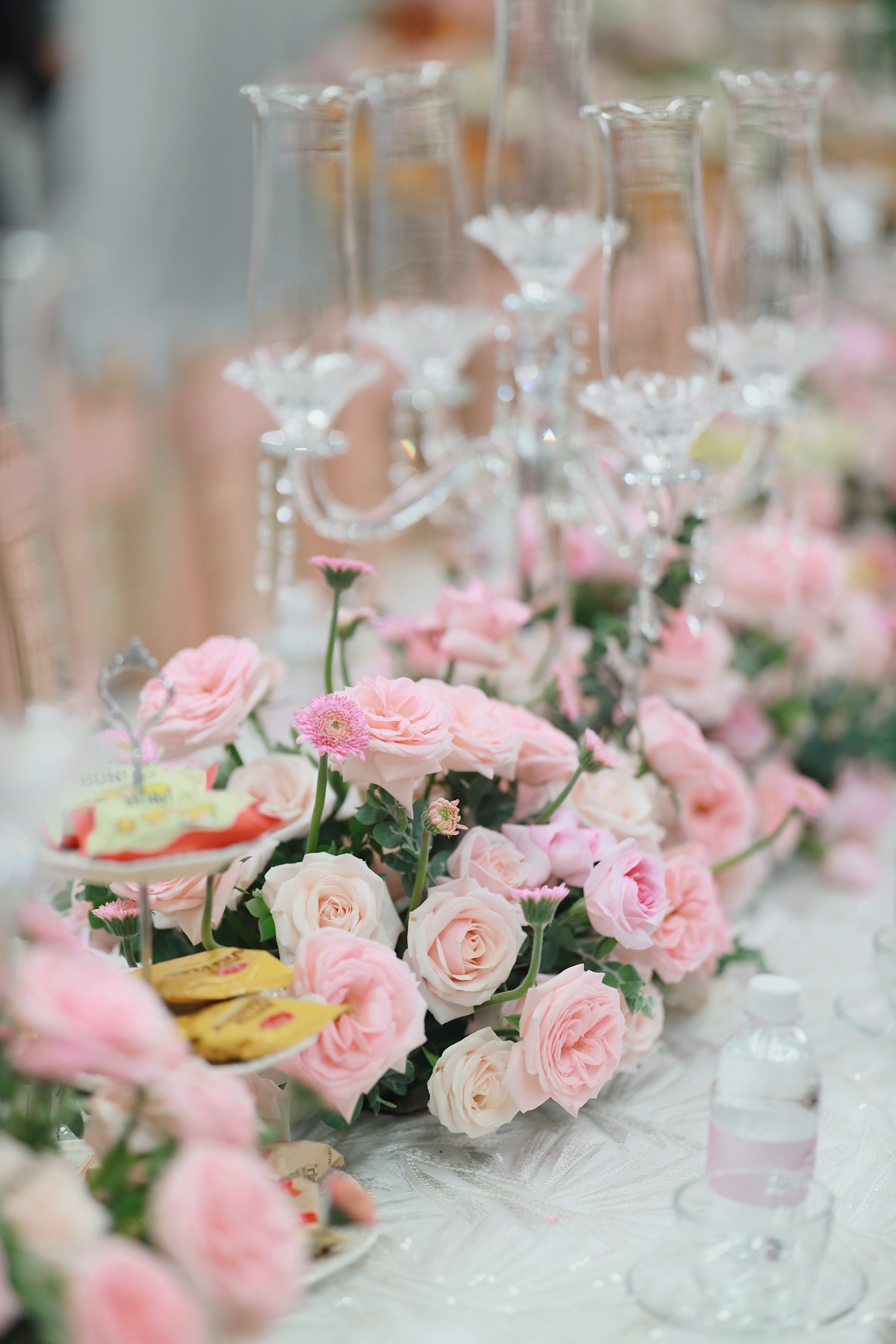 khanh thi,  phan hien anh 7