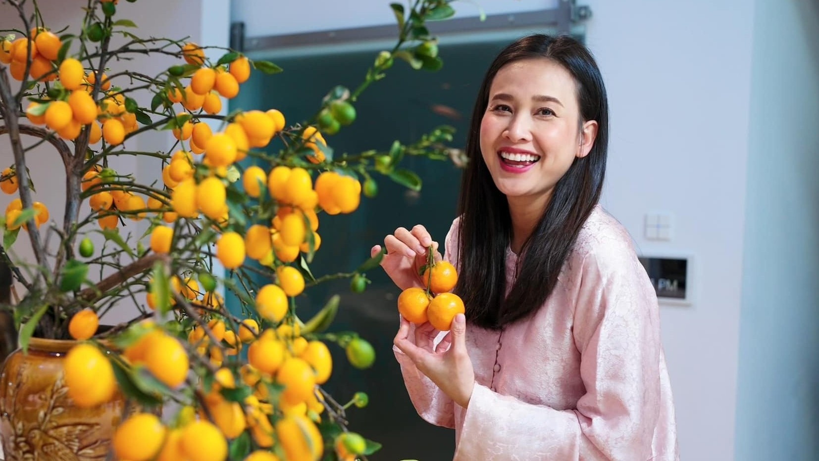 Nghe si Viet o nuoc ngoai don Tet Nguyen dan hinh anh