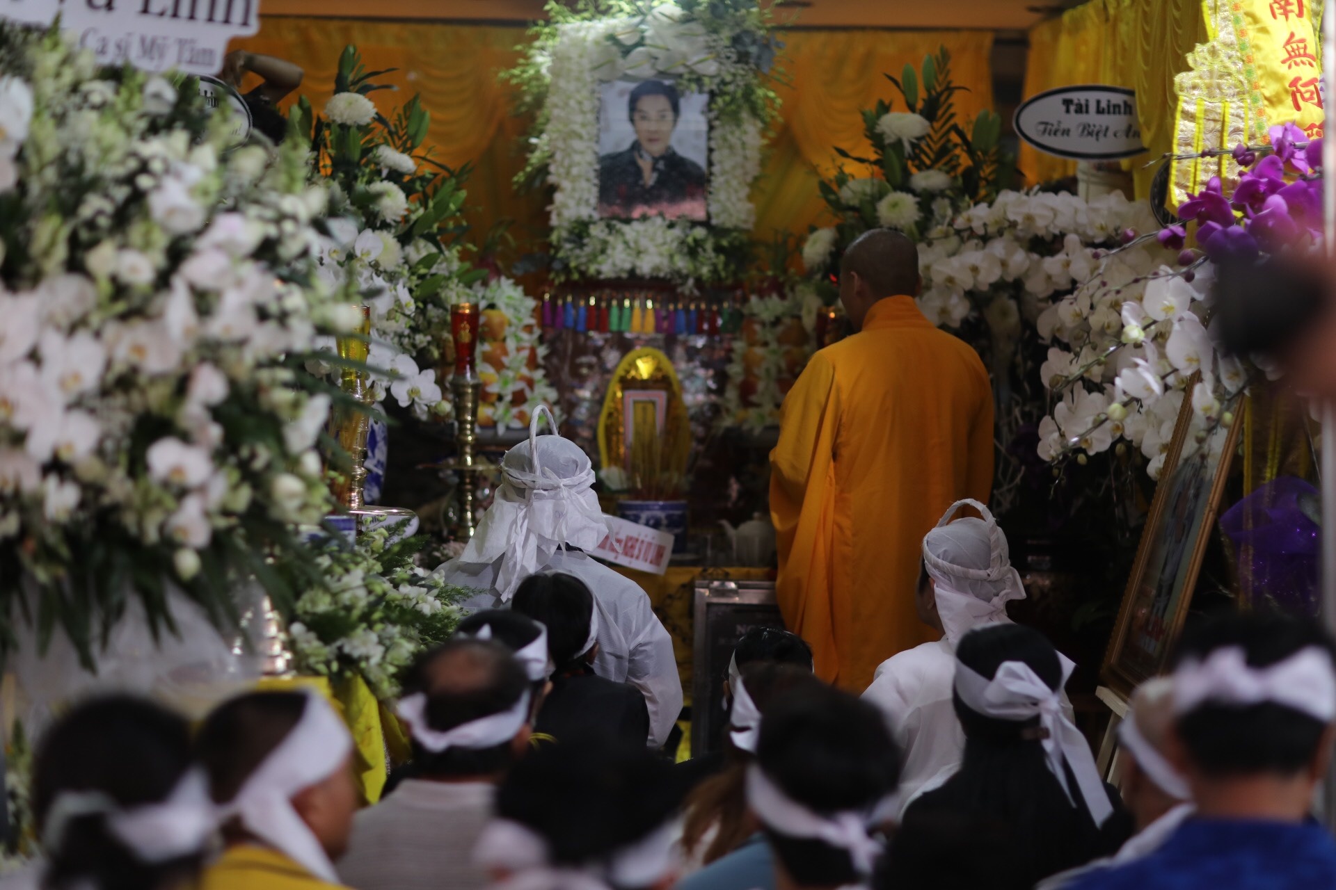 vũ linh ảnh 1 vu linh anh 1