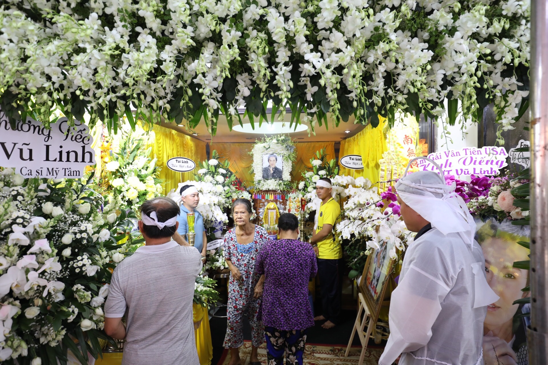 vu linh,  thanh thanh tam anh 2