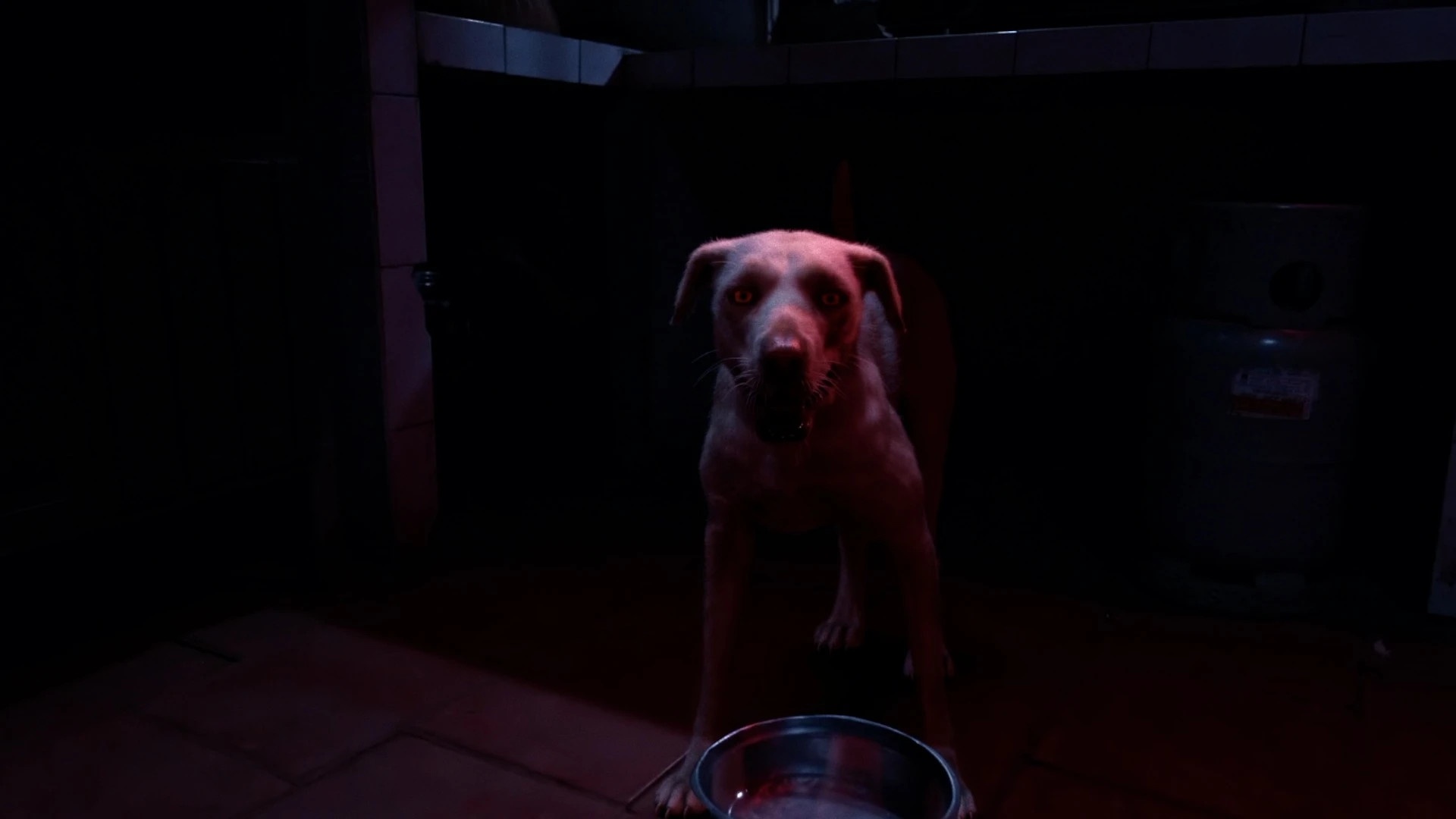 quy cau,  ky xao anh 2