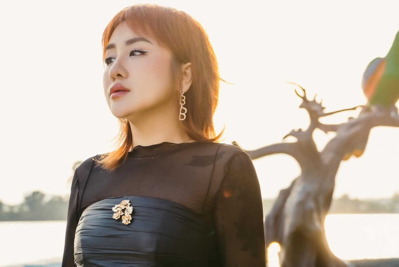 Nghe si Viet giam lich chay show, ve que don Tet som hinh anh