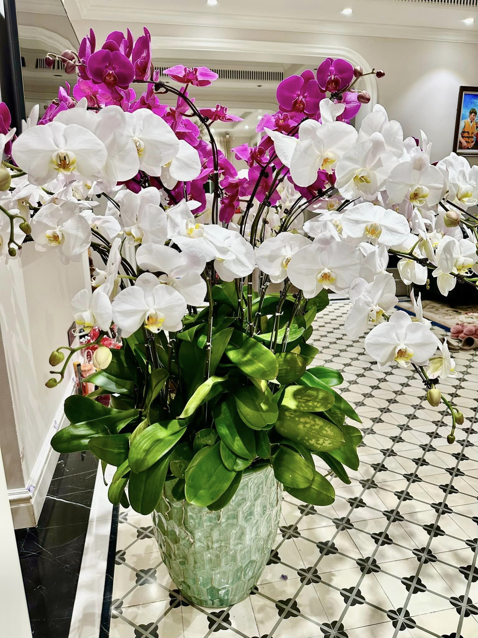 noo phước thịnh, lệ quyên, kim chi, biệt thự nghệ sĩ ảnh 10 noo phuoc thinh, le quyen, kim chi, biet thu nghe si anh 10