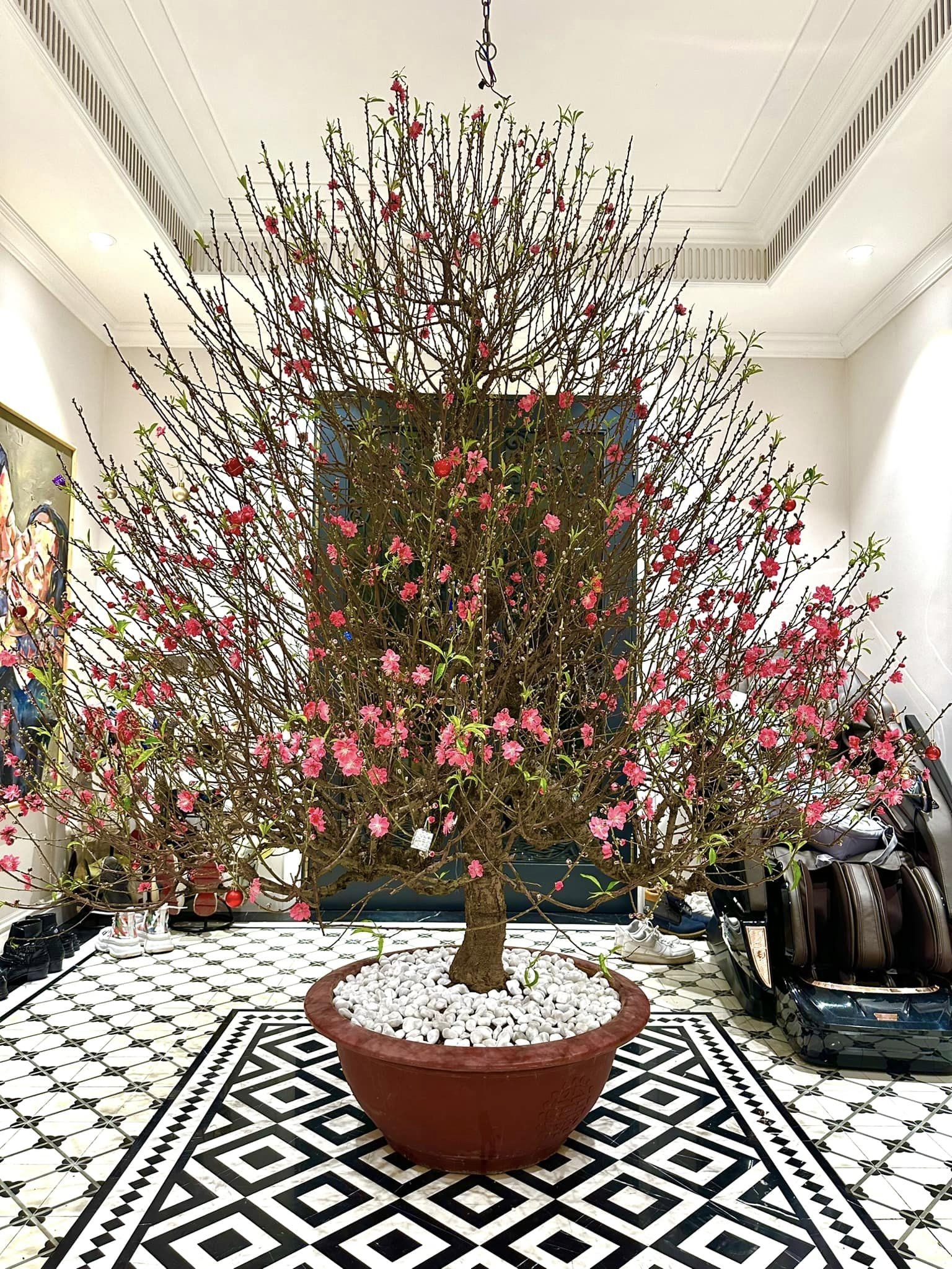 noo phước thịnh, lệ quyên, kim chi, biệt thự nghệ sĩ ảnh 9 noo phuoc thinh, le quyen, kim chi, biet thu nghe si anh 9