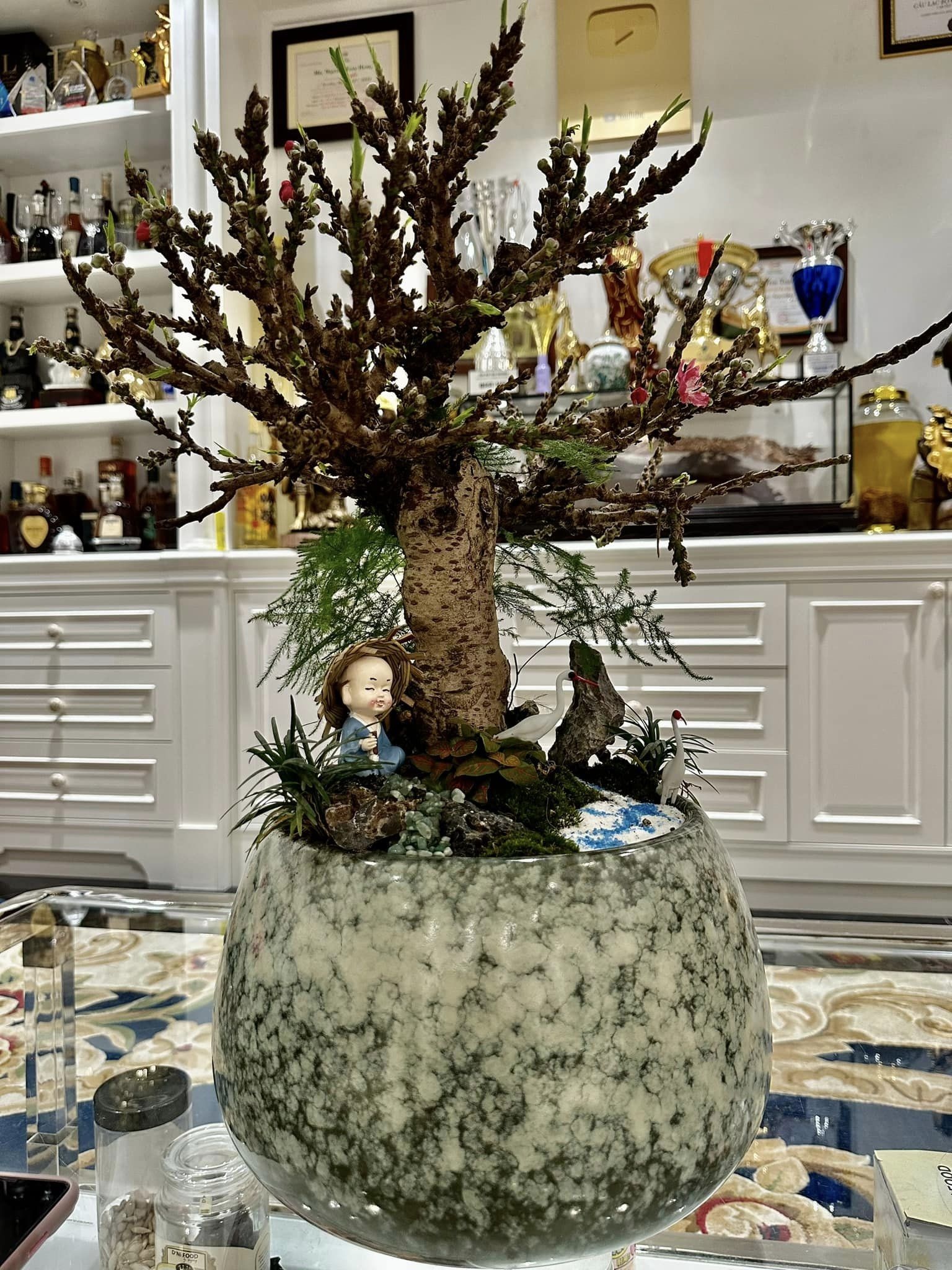 noo phước thịnh, lệ quyên, kim chi, biệt thự nghệ sĩ ảnh 11 noo phuoc thinh, le quyen, kim chi, biet thu nghe si anh 11