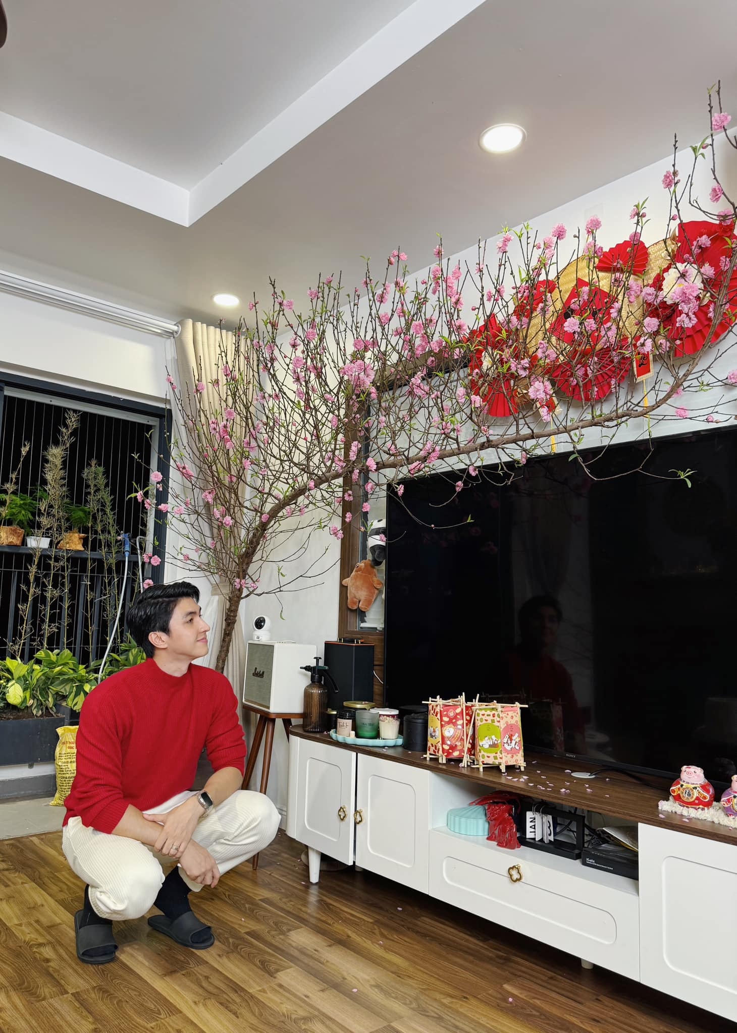 noo phuoc thinh,  le quyen,  kim chi,  biet thu nghe si anh 24