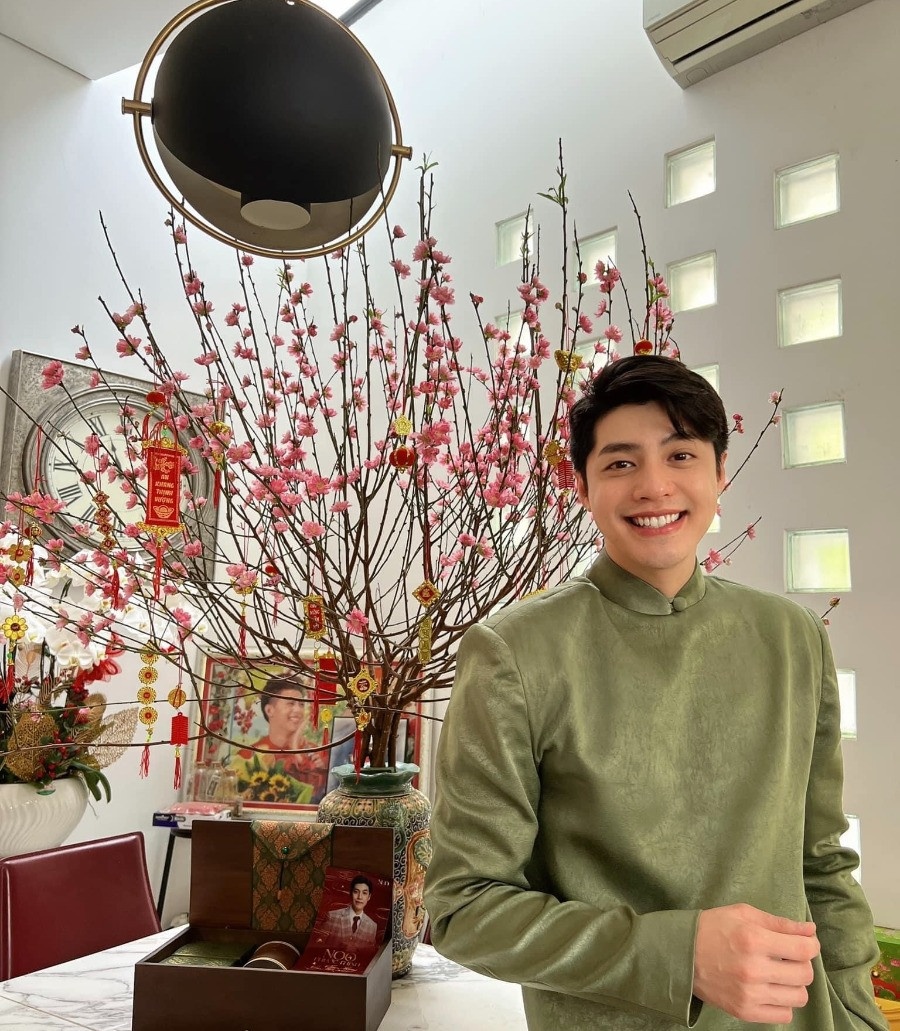 noo phước thịnh, lệ quyên, kim chi, biệt thự nghệ sĩ ảnh 22 noo phuoc thinh, le quyen, kim chi, biet thu nghe si anh 22