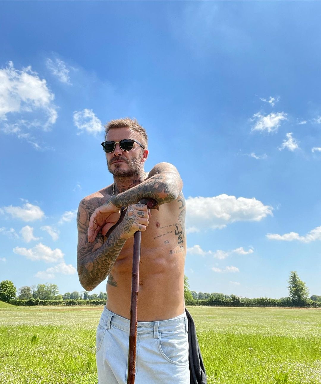 David Beckham,  beckham trong rau,  nuoi ga anh 3