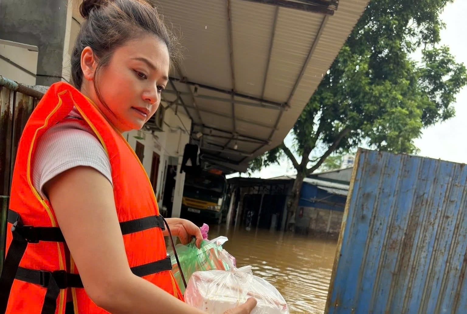 Nghe si Viet den tam lu ho tro nguoi dan hinh anh