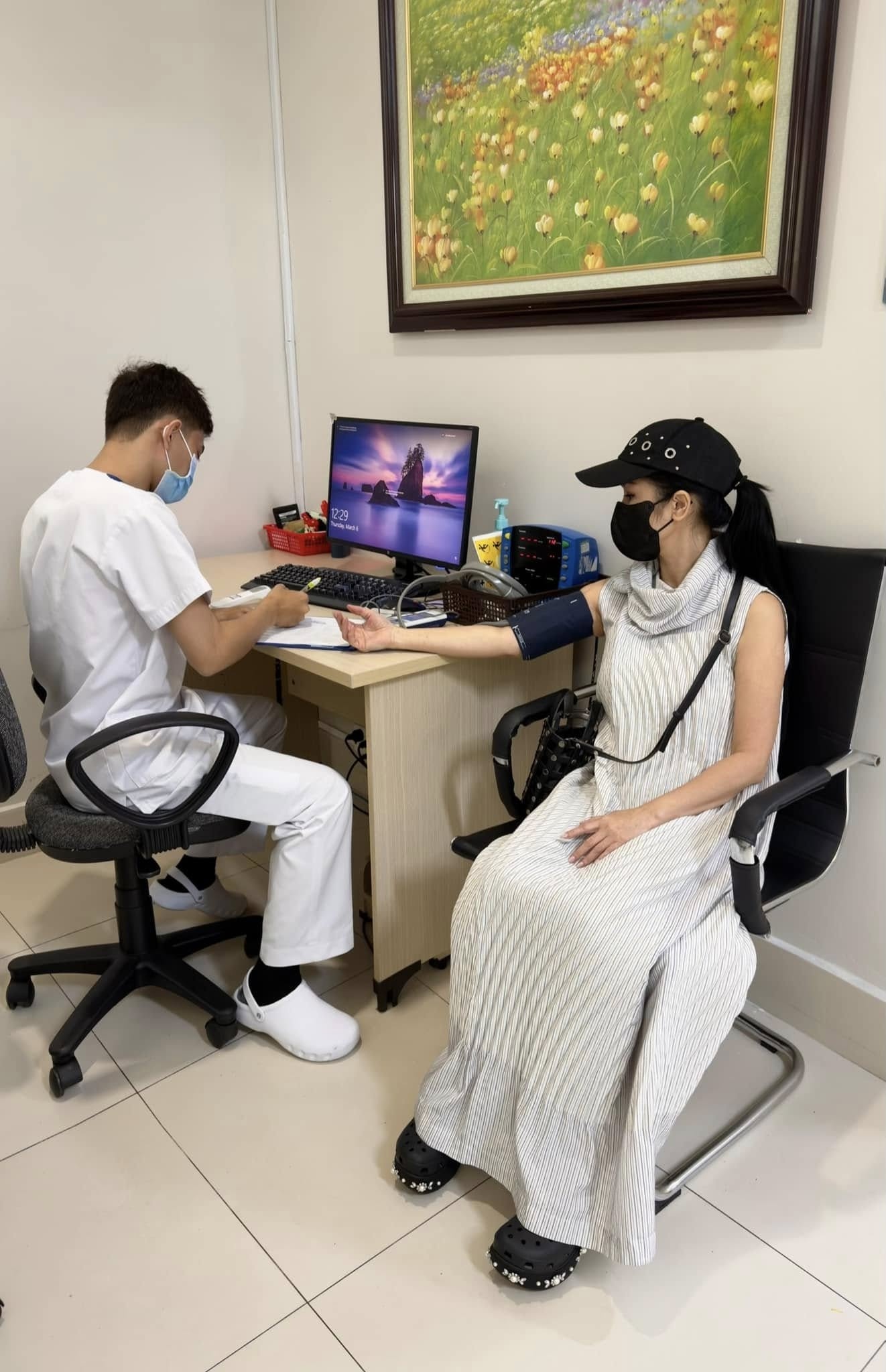 hong nhung,  ca si hong nhung anh 1