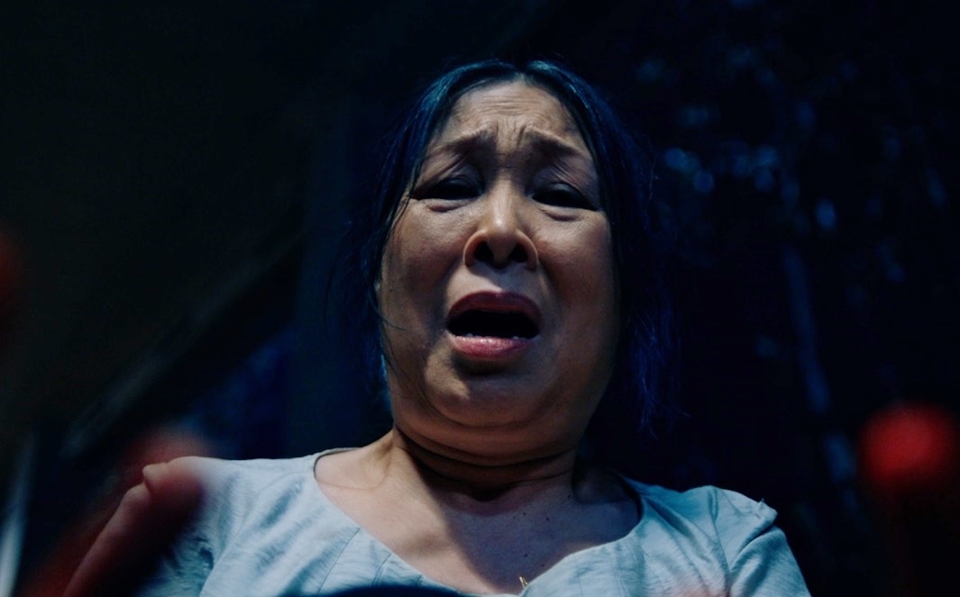 Phim 18+ co Hong Van thao chay vi so bi de bep? hinh anh