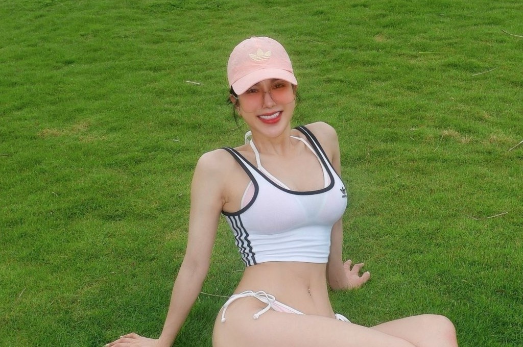 Diep Lam Anh phan bac hinh anh