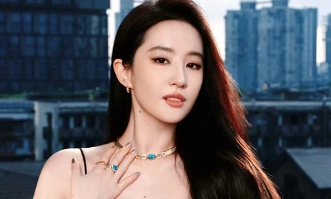 Nguoi tinh bi an cua Luu Diec Phi hinh anh