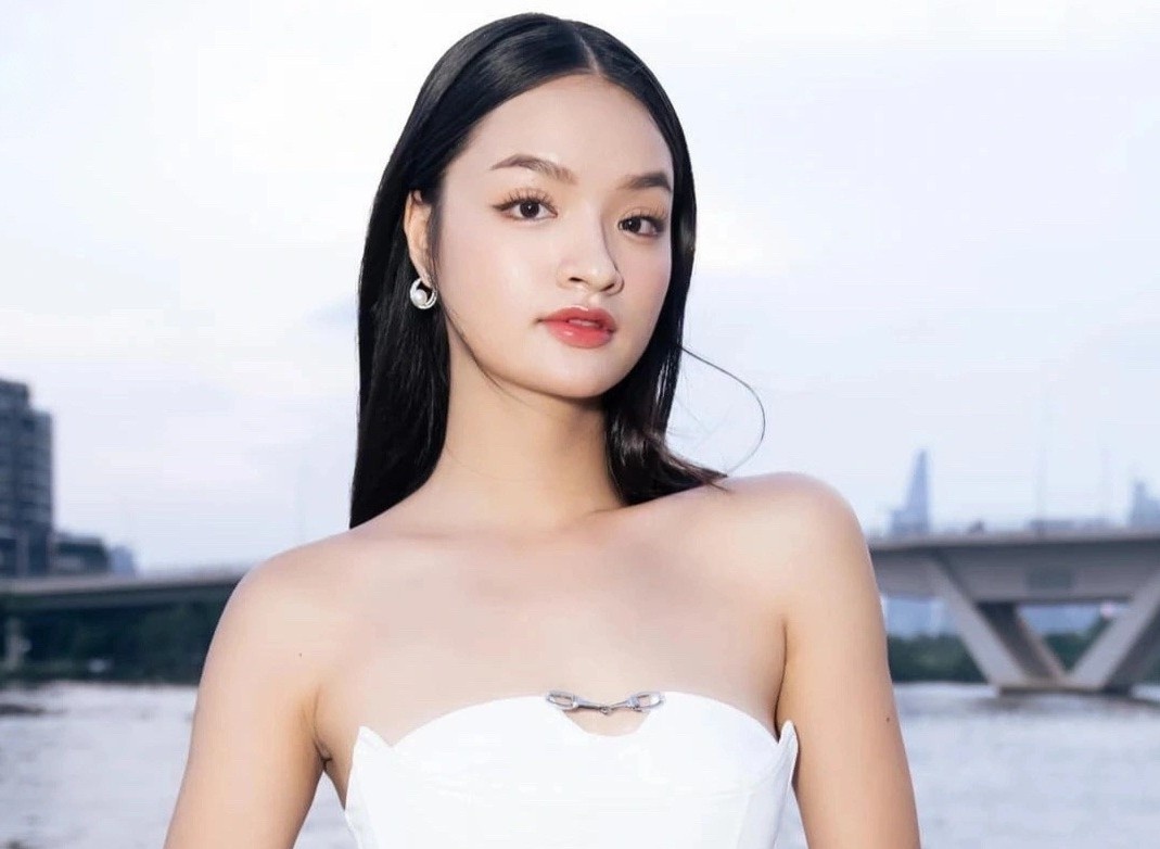 Thuy Hang bi cong kich hinh anh